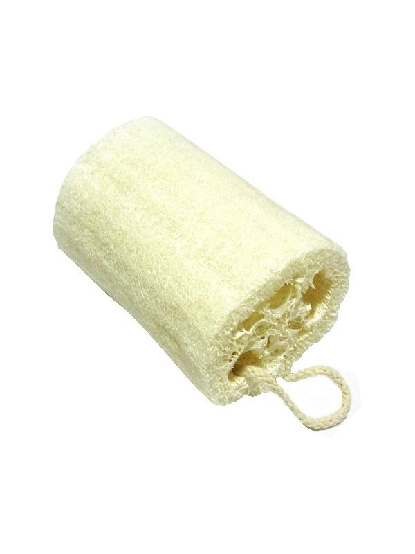 Loofa en tronçon