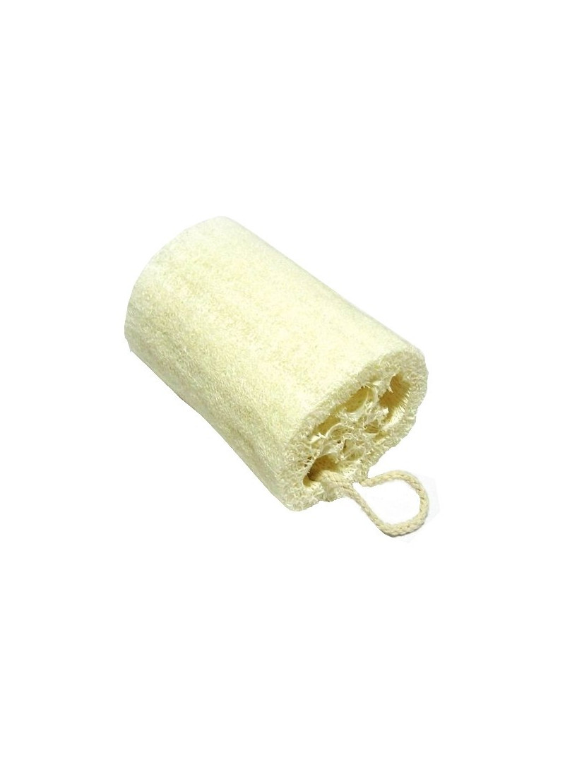 Loofa en tronçon